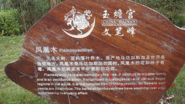 DSC04035.JPG