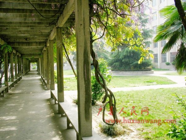 Ƭ 039.jpg