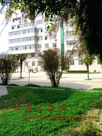 Ƭ 043.jpg