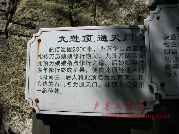 IMG_2105_nEO_IMG.jpg