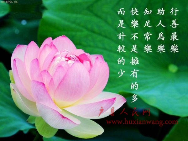 8386f730f5fcce83a8018ed6.jpg
