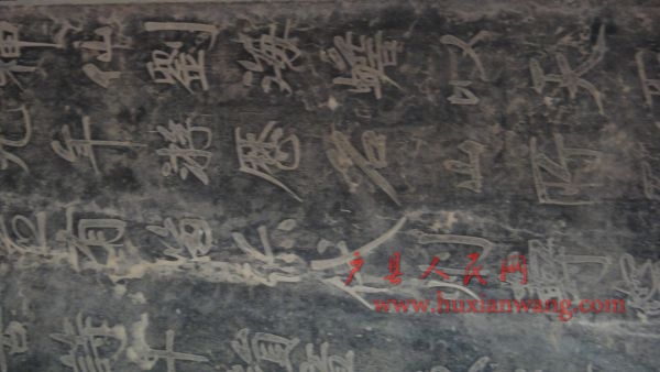 DSC02407.JPG